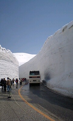 c0000134_1865427.jpg