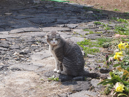 c0024135_0521689.jpg