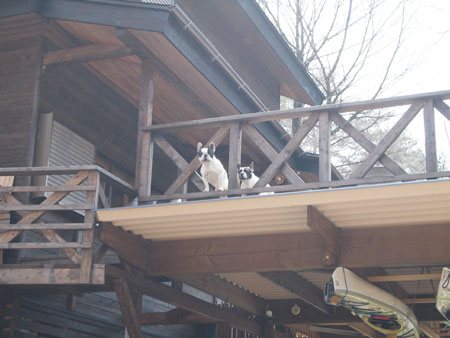 c0024135_0522259.jpg