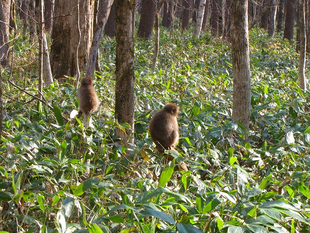 b0097836_1603948.jpg