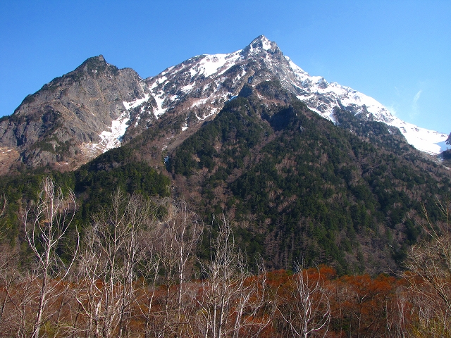 b0097836_1611427.jpg