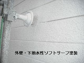 f0031037_2152103.jpg