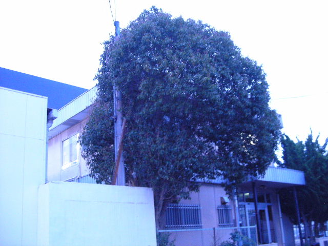 f0031037_21592618.jpg