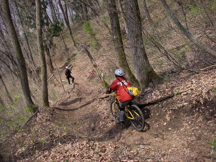 c0210838_2314912.jpg