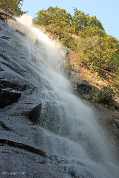 e0083238_20373935.jpg