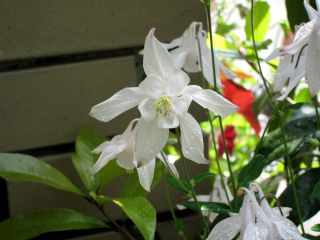 b0178339_23564557.jpg