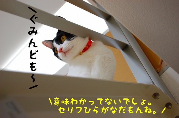 c0181639_111085.jpg