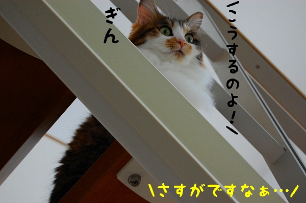c0181639_113332.jpg