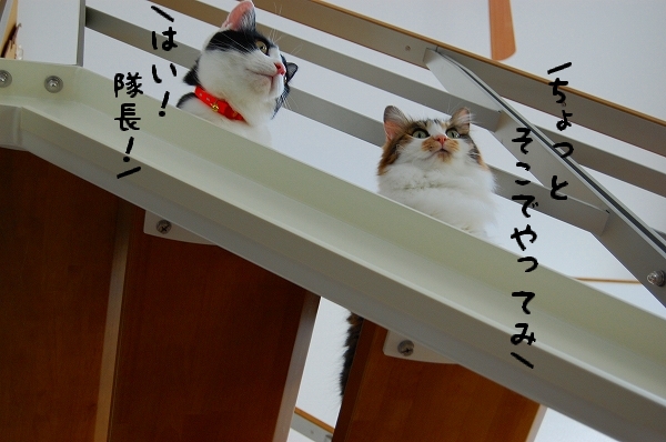 c0181639_114432.jpg