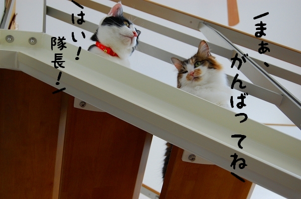 c0181639_122271.jpg