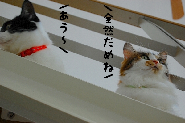 c0181639_12756.jpg