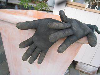 a0132041_2154758.jpg