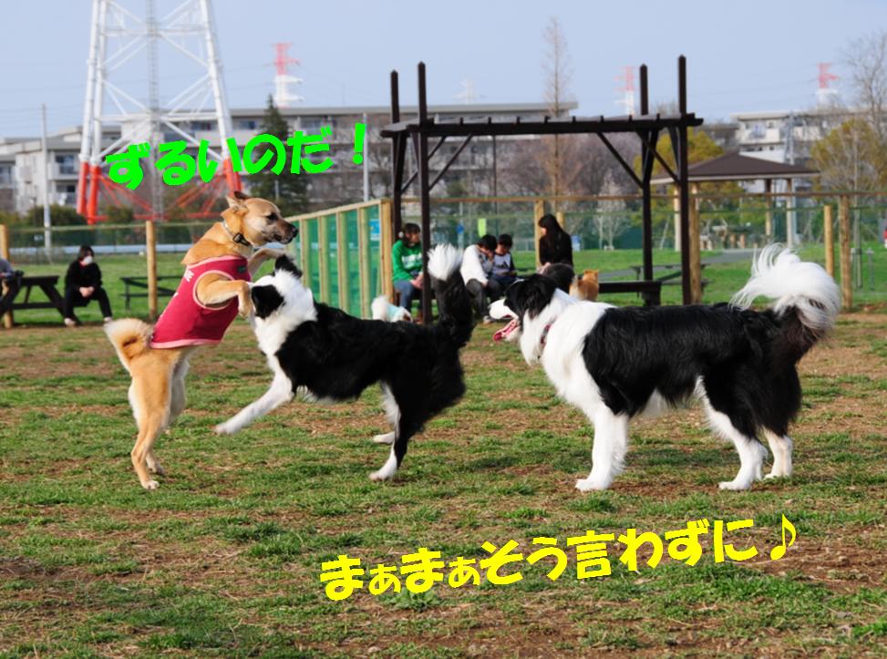 c0147241_19233732.jpg