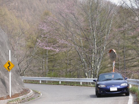f0068341_2314798.jpg