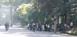 f0219141_1145574.jpg