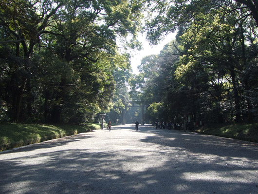 f0219141_11464937.jpg