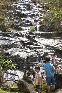 b0082242_1814678.jpg