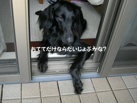 f0107145_23153520.jpg