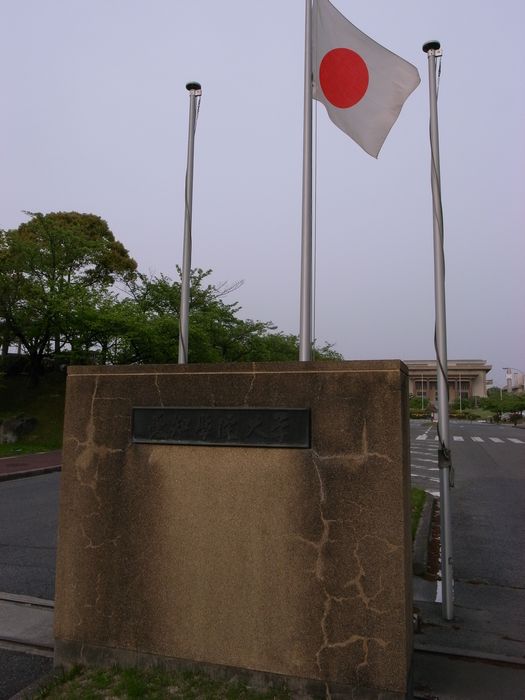 a0093446_1534026.jpg