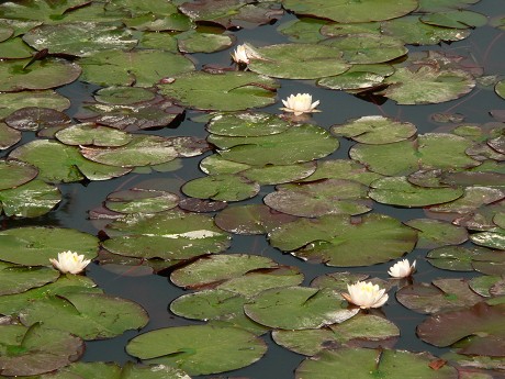 c0057946_22562132.jpg