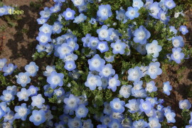 c0132646_1005246.jpg
