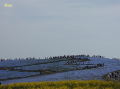 c0132646_9591797.jpg