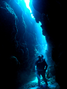 d0065247_23201328.jpg