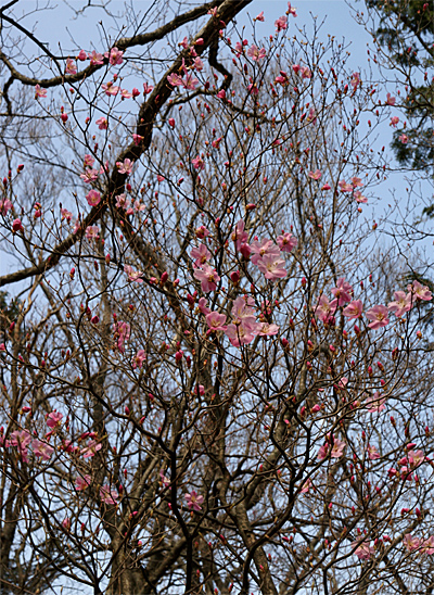 f0214649_15111720.jpg