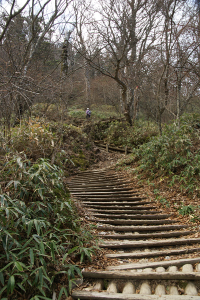 f0214649_1512333.jpg
