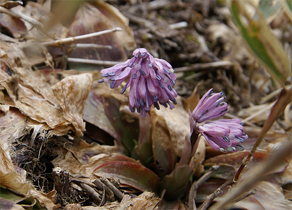 f0214649_15271973.jpg