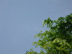 e0126652_16114082.jpg