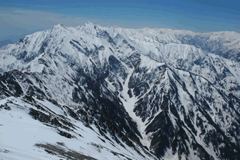 a0044453_172274.gif