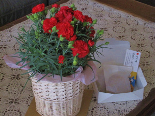 d0031853_23235455.jpg