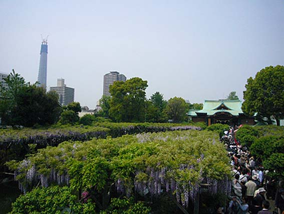 d0147156_18252698.jpg