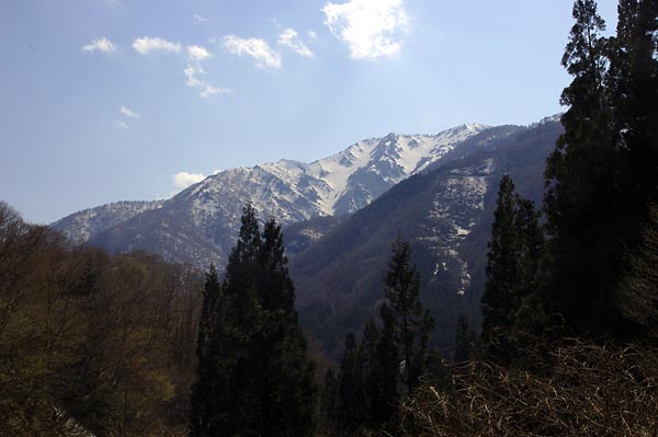 c0043361_2326849.jpg