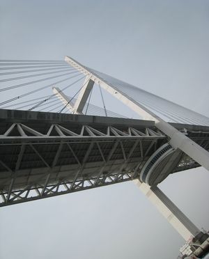 a0065062_10493059.jpg