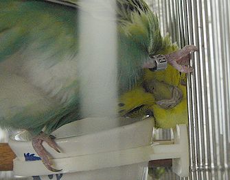 f0196665_2346093.jpg