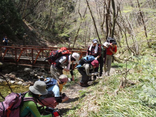 c0042869_21195483.jpg