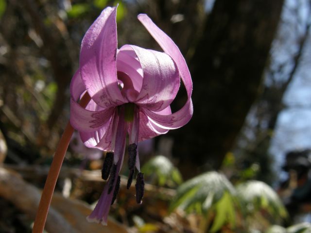 c0042869_21242472.jpg