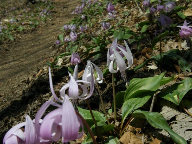 c0042869_2124382.jpg