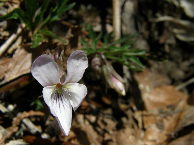 c0042869_21285255.jpg