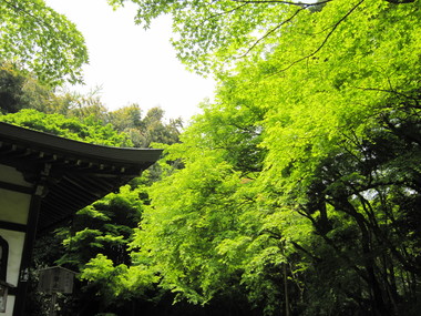 c0224470_2025830.jpg
