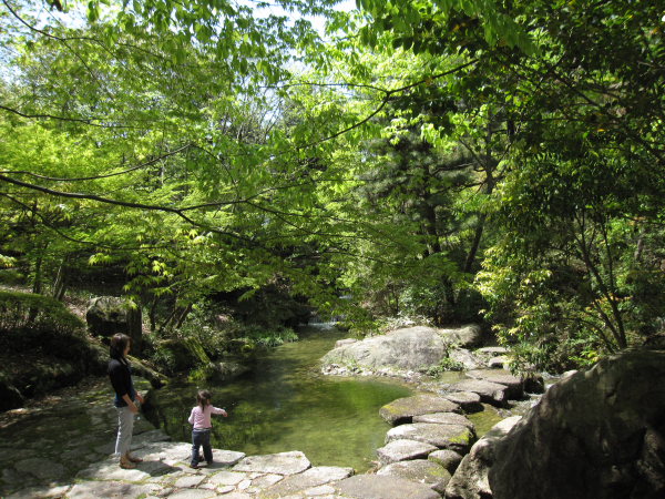 b0055171_16203444.jpg