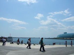 c0072572_4384816.jpg