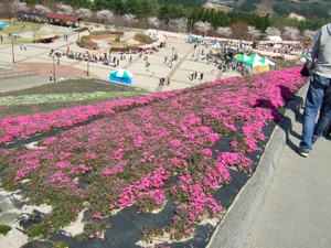 c0072572_4461688.jpg