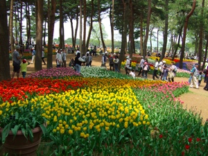 c0072572_4483045.jpg