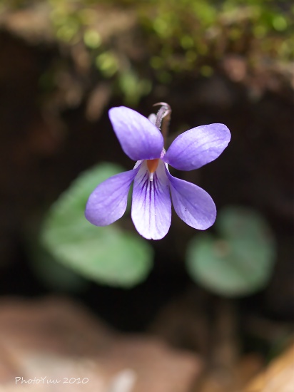 b0078874_7355031.jpg