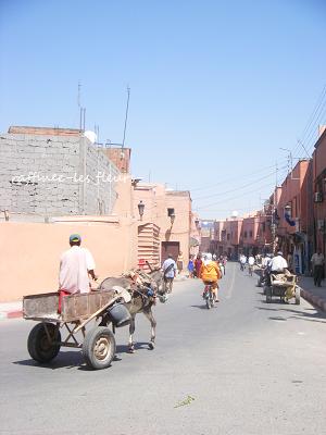 b0176275_11521764.jpg