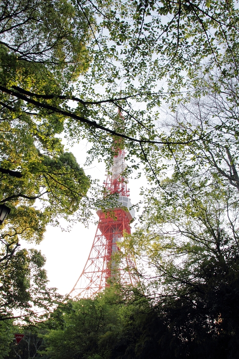 f0115475_23101157.jpg