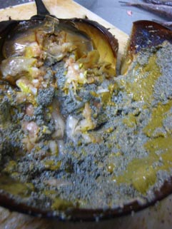 f0056476_637133.jpg